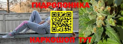mix Будённовск