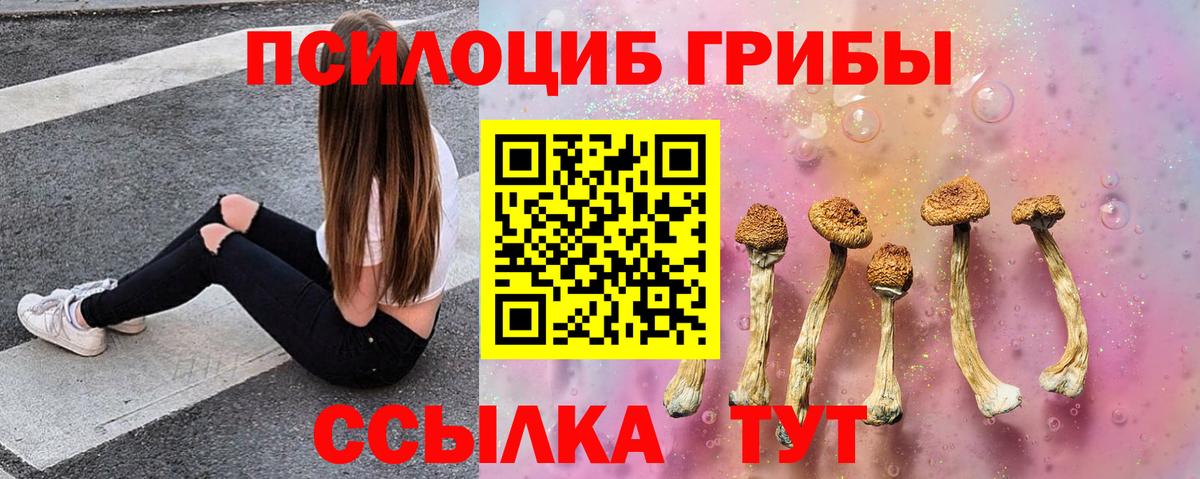 где найти наркотики  Псилоцибиновые грибы ЛСД  Вход с VPN  Лосино-Петровский 
