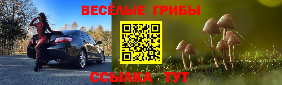 Галлюциногенные грибы ЛСД Лосино-Петровский